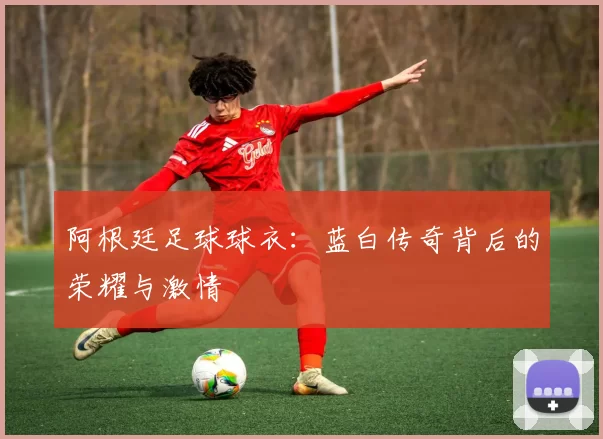 阿根廷足球球衣：蓝白传奇背后的荣耀与激情