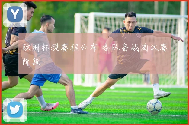 欧洲杯现赛程公布 各队备战淘汰赛阶段