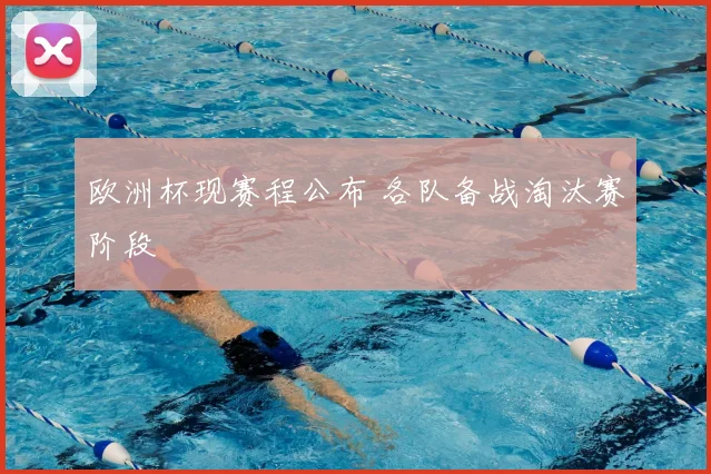 欧洲杯现赛程公布 各队备战淘汰赛阶段