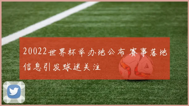 20022世界杯举办地公布 赛事落地信息引发球迷关注