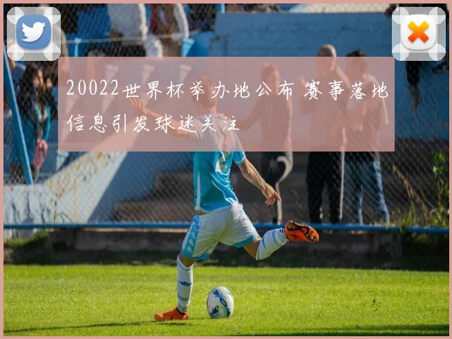 20022世界杯举办地公布 赛事落地信息引发球迷关注