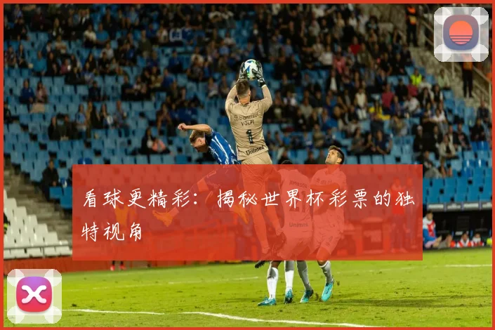 看球更精彩：揭秘世界杯彩票的独特视角