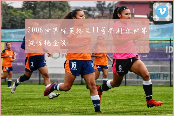 2006世界杯英格兰11号乔科尔世界波惊艳全场