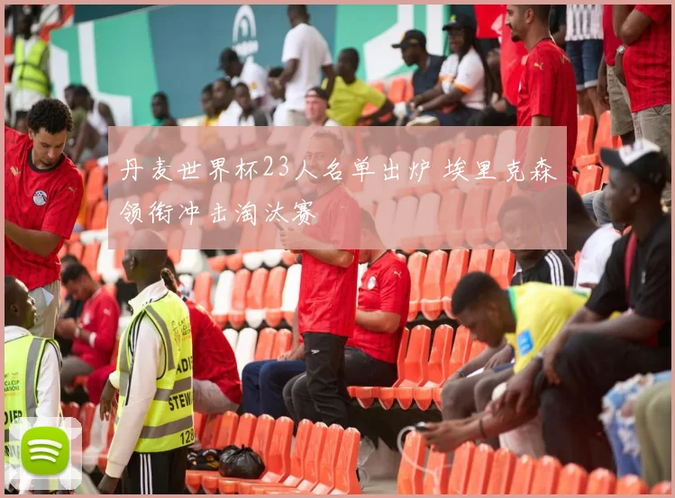 丹麦世界杯23人名单出炉 埃里克森领衔冲击淘汰赛