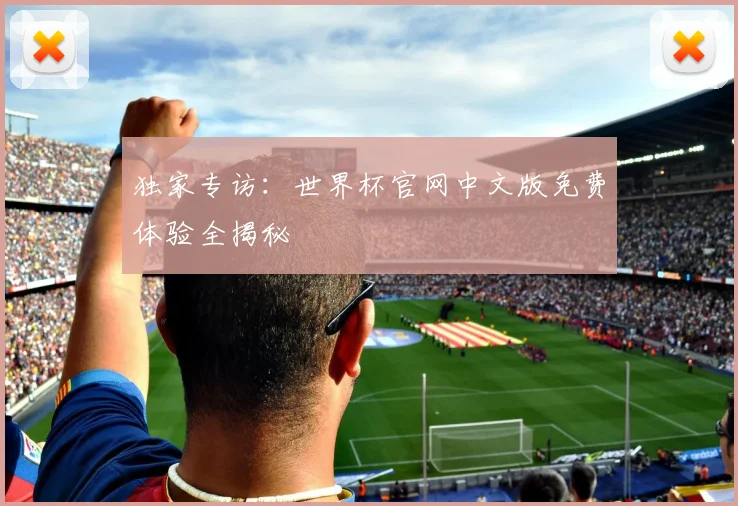 独家专访：世界杯官网中文版免费体验全揭秘